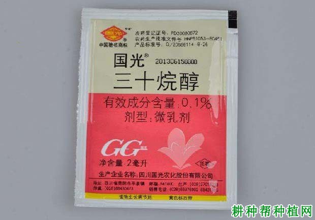 用什么药能让番茄生根快？