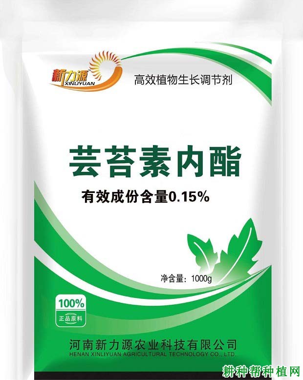 什么农药可以提高辣椒苗抗性？