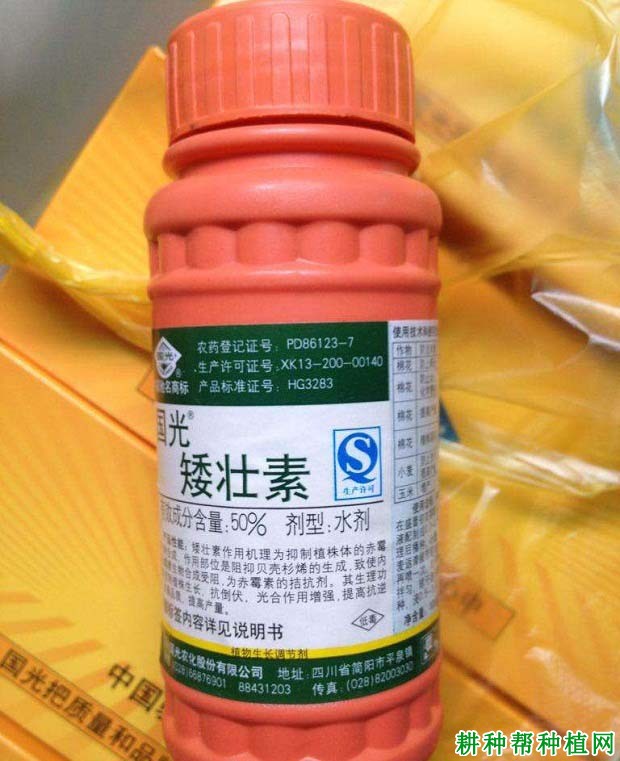什么农药可以提高辣椒坐果率和产量？