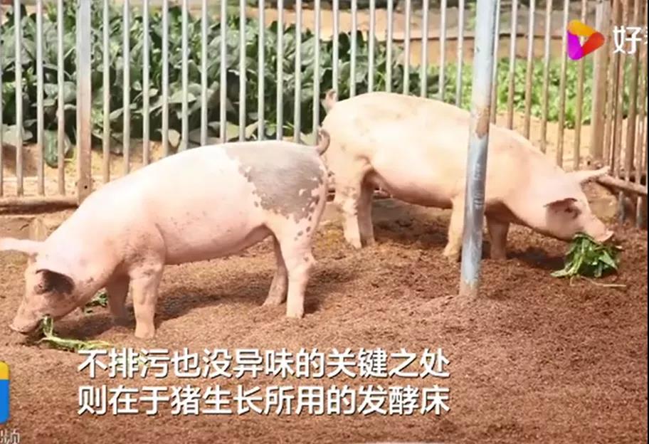 微信图片_20210714163601.jpg