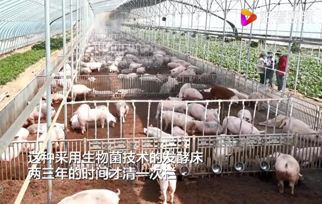 1626252404236672.jpg 微信图片_20210714163609.jpg