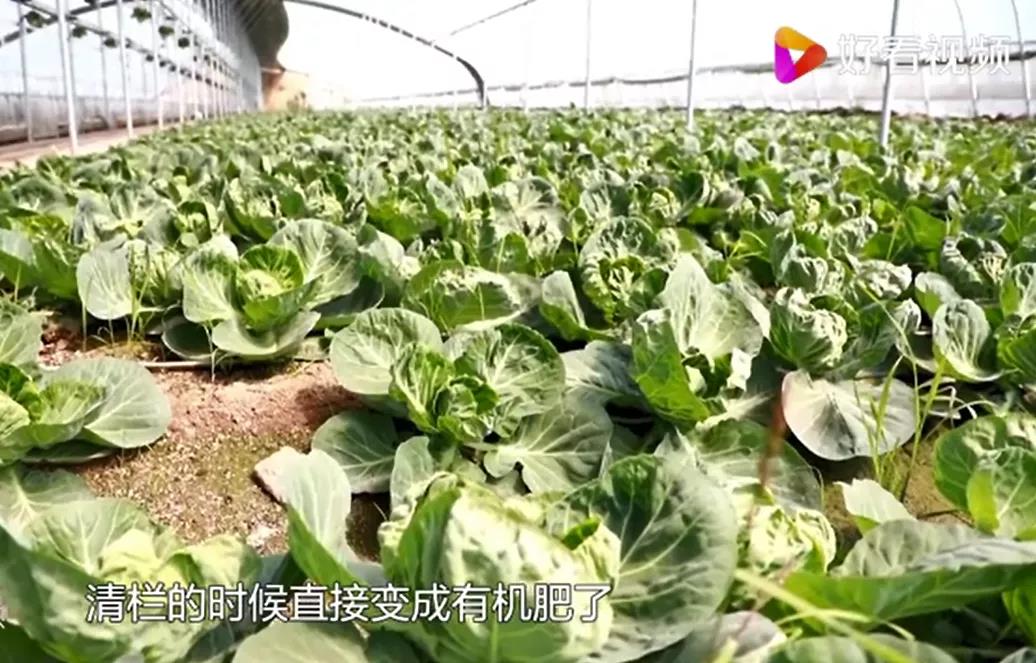 1626252429609940.jpg 微信图片_20210714163611.jpg