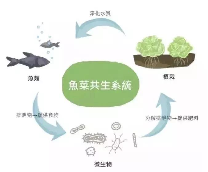 微信图片_20210714163619.jpg