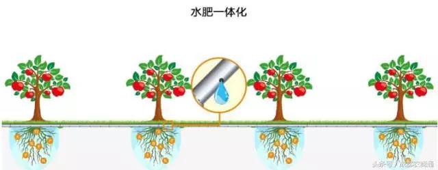 1626255201840631.jpg 微信图片_20210714173122.jpg