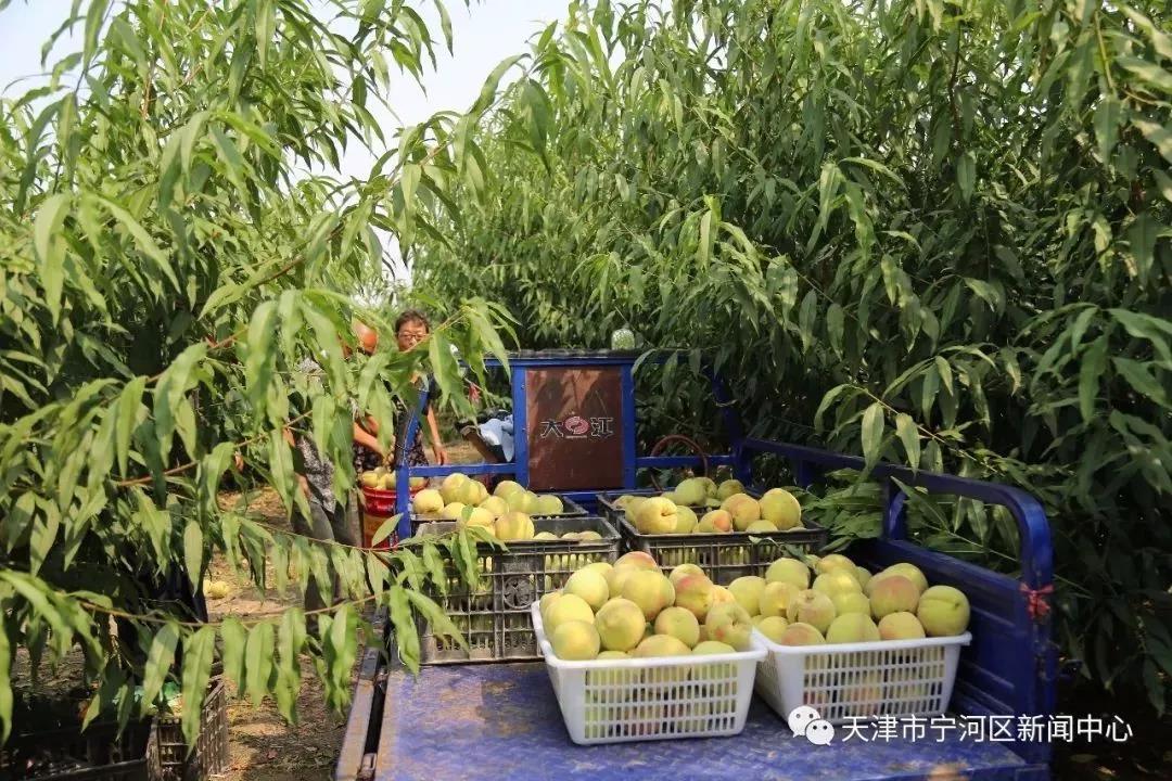 1626405549343207.jpg 微信图片_20210716111324.jpg