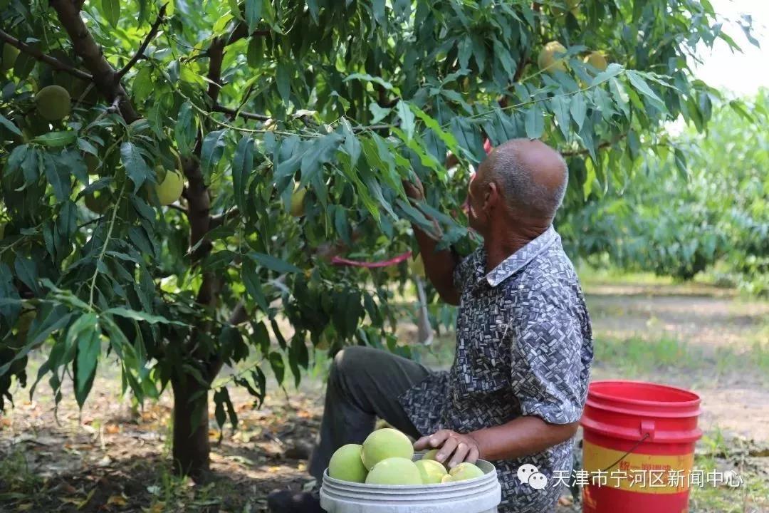 1626405721369117.jpg 微信图片_20210716111336.jpg