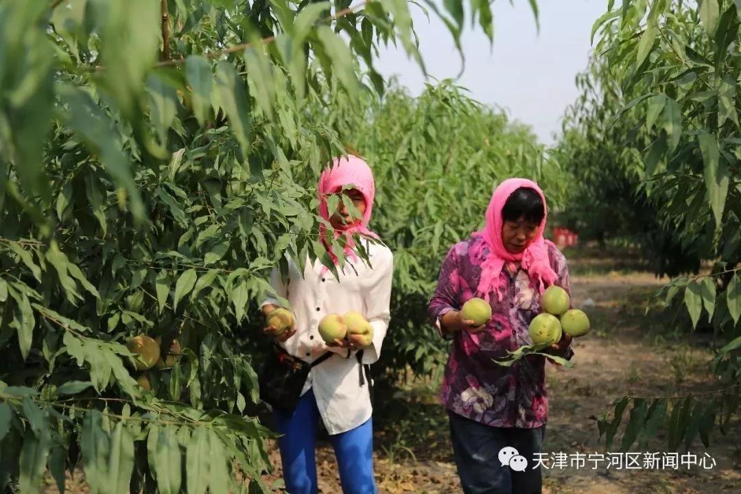 1626405789470084.jpg 微信图片_20210716111340.jpg