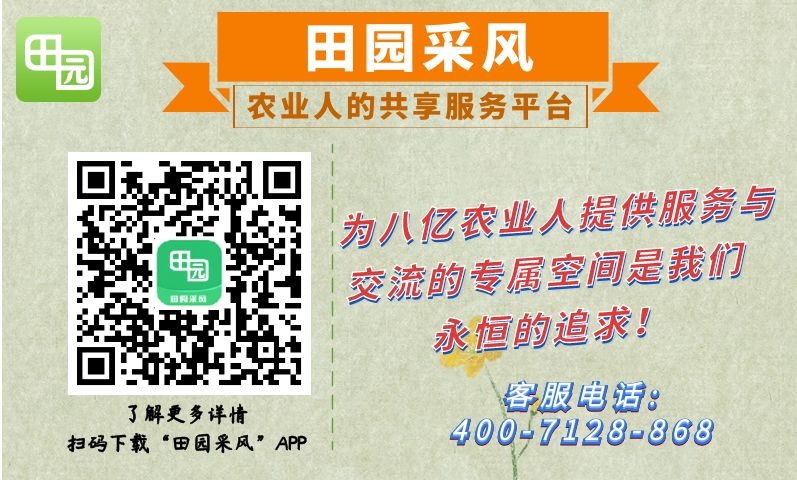 1626420945221765.jpg 田园采风文章插图.jpg