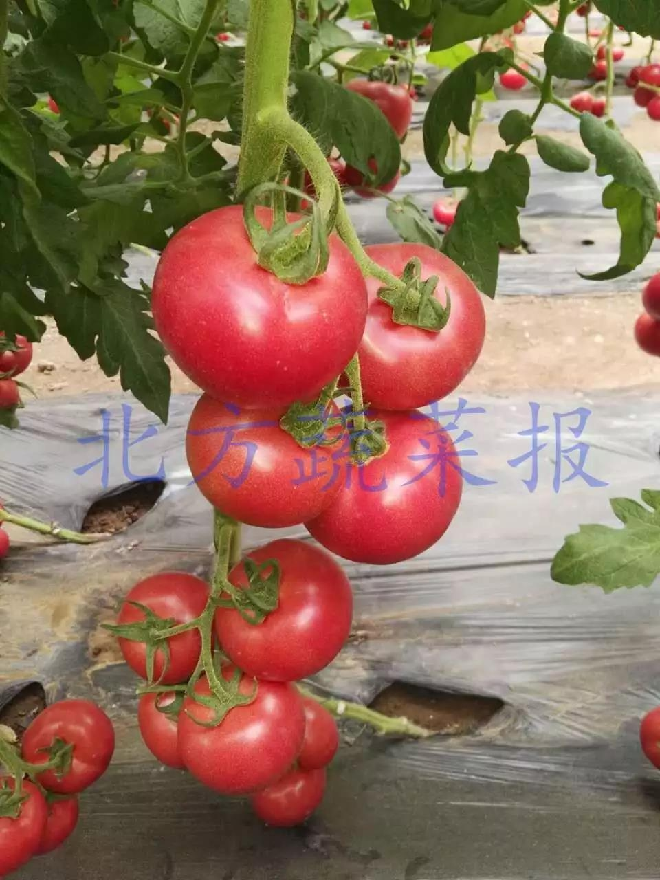 1627024619237209.png 图片1.png