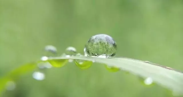 1628040483455409.png 微信图片_20210804092118.png