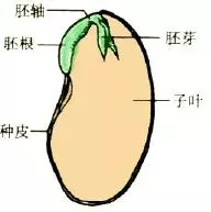 1628040499389157.png 微信图片_20210804092339.png