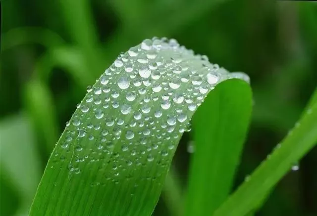 1628040517571254.png 微信图片_20210804092350.png