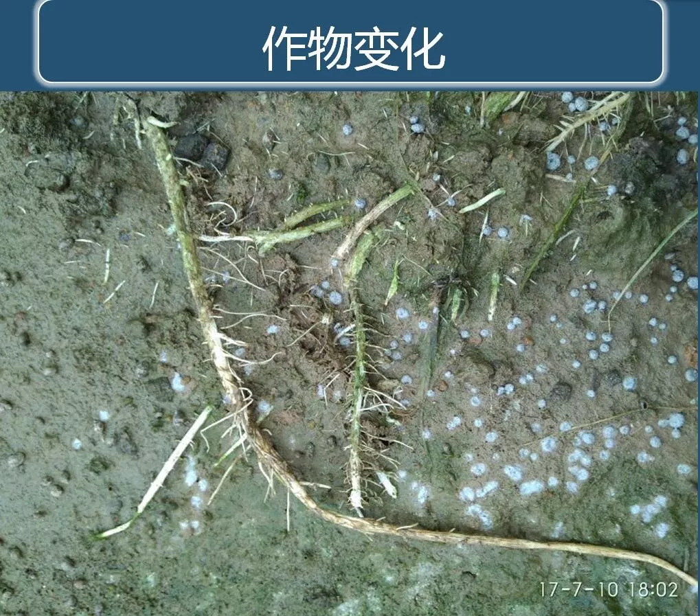 微信图片_202108071719183.png
