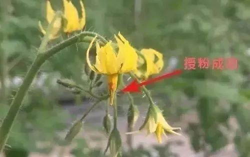 1646805926513838.jpg 微信图片_20220309134733.jpg
