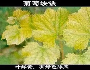 1646805997153388.jpg 微信图片_20220309134746.jpg