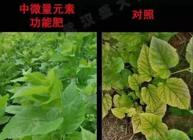 1646806021371970.jpg 微信图片_20220309134750.jpg
