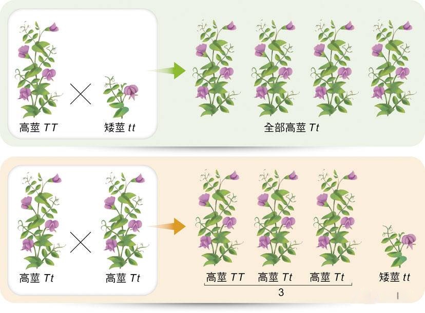 1647133420494507.jpg Inked微信图片_20220311154558_LI.jpg