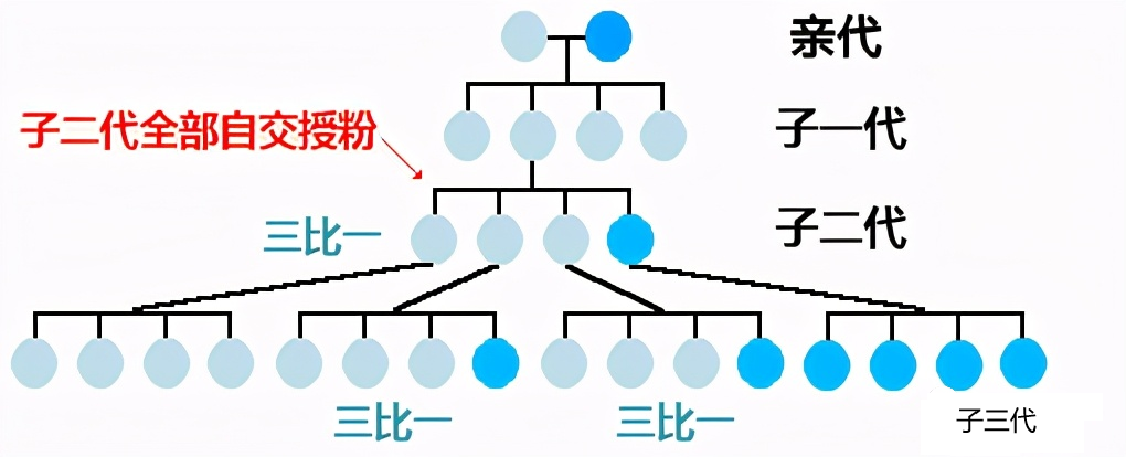 1647133456240214.png 微信图片_20220311154811.png