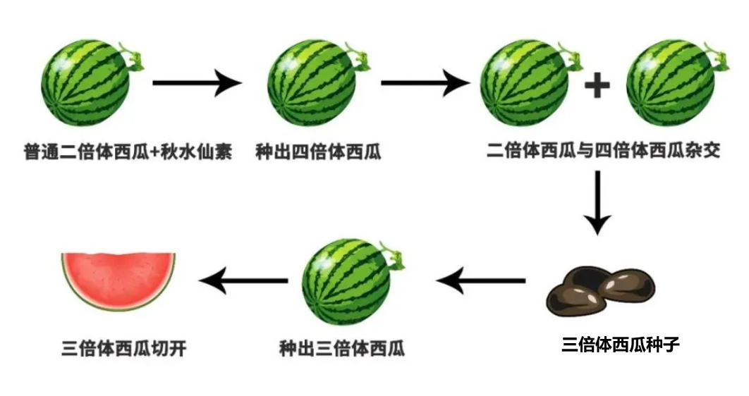 1647133478685553.png 微信图片_20220311155156.png