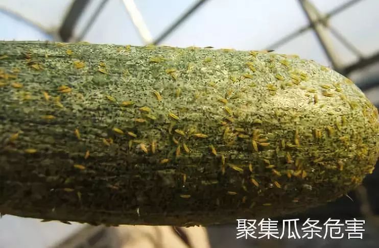 1647755297767309.jpg 微信图片_20220320134749.jpg