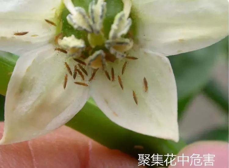 1647755304732836.jpg 微信图片_20220320134754.jpg