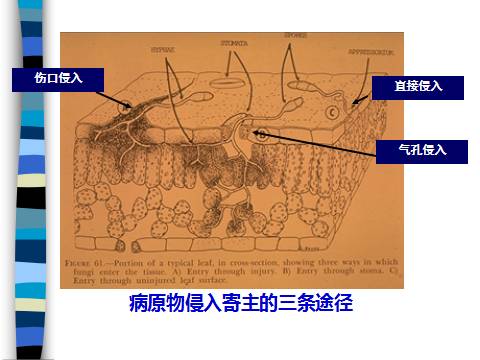 1650786416363504.jpg 6.jpg