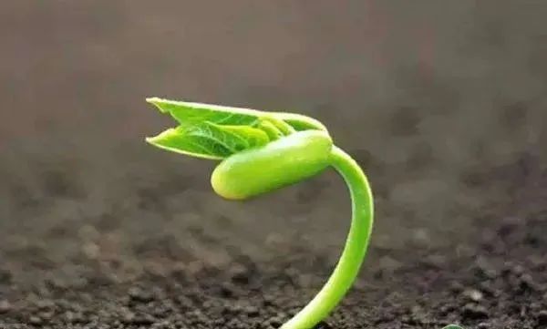 1651300977336728.jpg 9cb2e615e910e60876001a0597289797.jpg